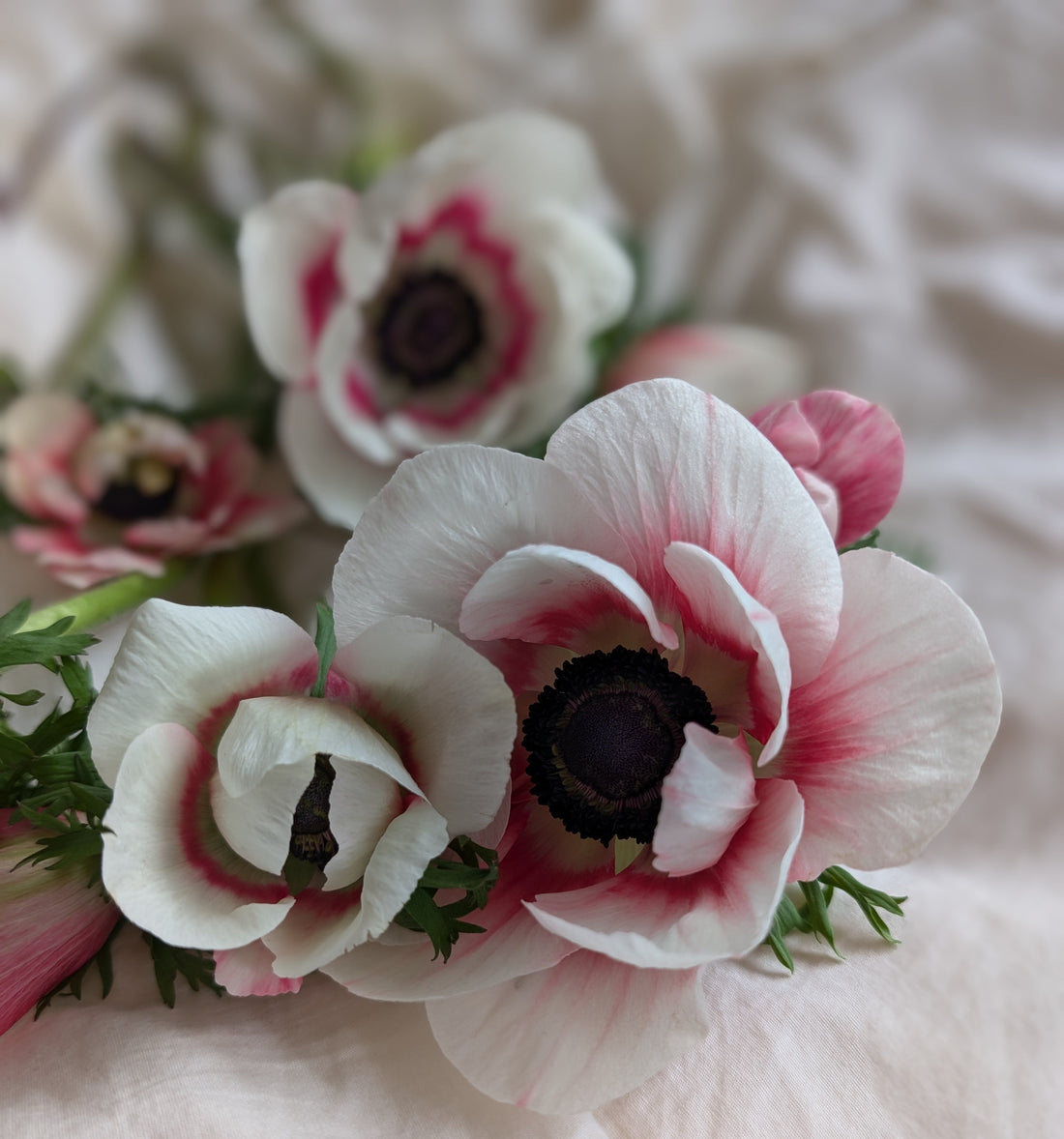 💐 The Best Wedding Florists in Melbourne for 2025: Where to Find Your Dream Wedding Bouquet