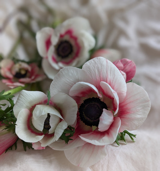 💐 The Best Wedding Florists in Melbourne for 2025: Where to Find Your Dream Wedding Bouquet