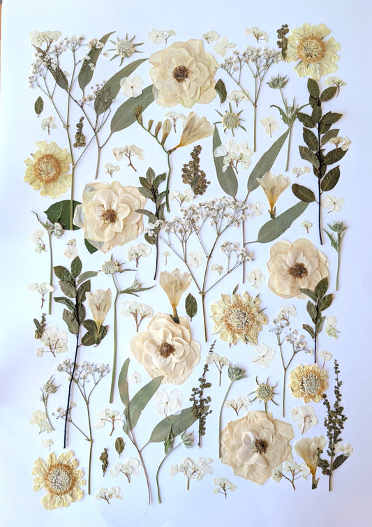 6 Reasons You Need to Preserve Your Wedding Flower Bouquet