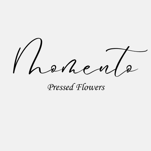 Momento Pressed Flowers